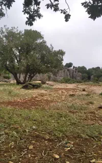 جویای کار نگهبانی