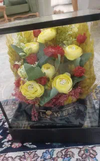 گل باکسی نو