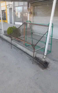 استند میوه