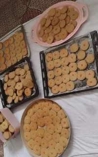 فروش زنجبیلی