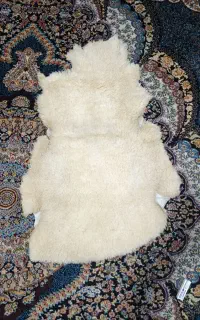 پوست گوسفند اصل خارجی