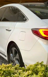 سوناتا LF 2017