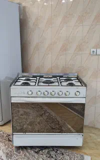 فرگاز سالم