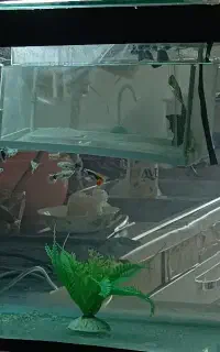 آکواریوم بزرگ