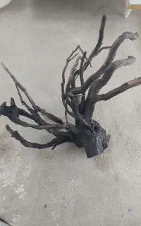چوب آبنوس اکواریوم