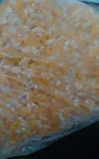 ذرت دون شده ی آماده