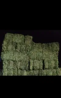 یونجه پرس دیواندره