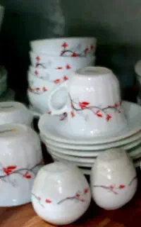 ظروف سیرامیک وارکوپال