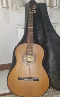 گیتار سالوادر به همراه کیف