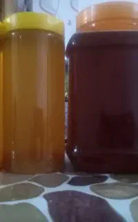 عسل طبیعی کوهستان