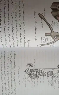 کتب روانشناسی دانشگاهی
