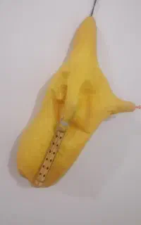 ساز درجه یک آماده فروشی