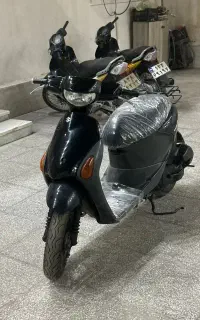 پاکشتی در حد