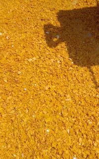 فروش مواد آسیابی درجه ۱