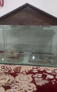 آکواریوم