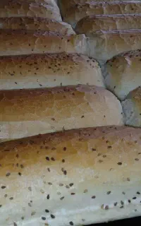 پخش نان باگت همبرگر نیم باگت خمیرگیر
