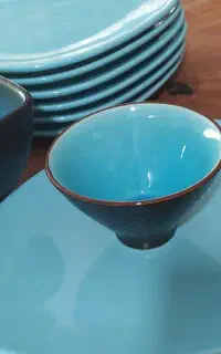 ظروف غذاخوری