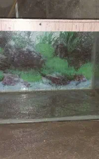 آکواریوم ۵۰در ۳۰ ارتفاع ۵۰
