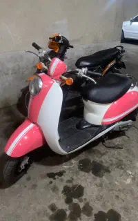 پاکشتی