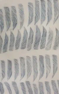 خدمات ارایش دائم صورت بانوان