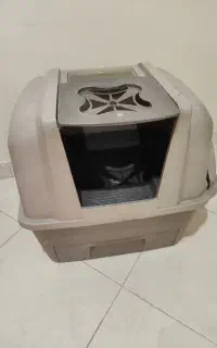 ظرف خاک گربه