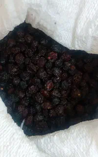 گیلاس خشک