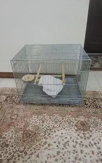 قفس غلامی