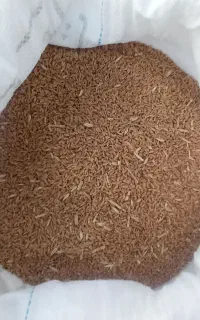 یونجه کاه گندم جو نان سبوس انواع نهاده