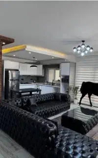 سوئت اپارتمان شیک