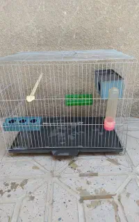 قفس پرنده