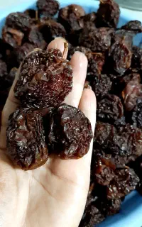 آلوی خشک (شابلون)