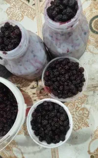 شاهتوت تفتان