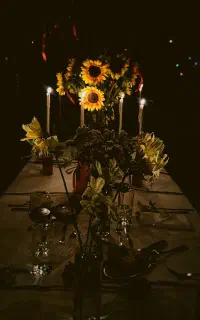 طراحی و اجرای تولد و مهمانی خصوصی