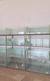 آکواریوم سالن پرورش ماهی زینتی