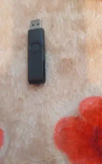 فلش