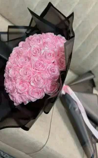 رز صورتی