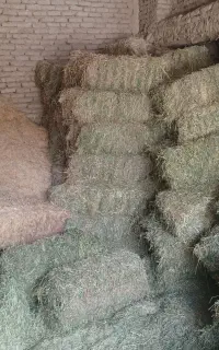 خرید و فروش یونجه
