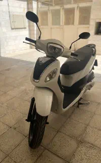 دینو ونید