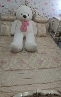 سرویس خواب کامل ونو