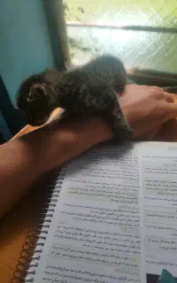 کتاب کمک درسی
