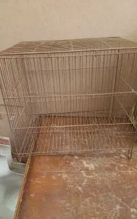 قفس پرنده