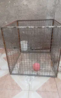 قفس سگ