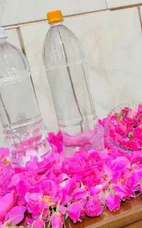 گلاب اصل با غلظت بالا (به شرط تست)
