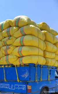 کاه گندم دیم نورآباد