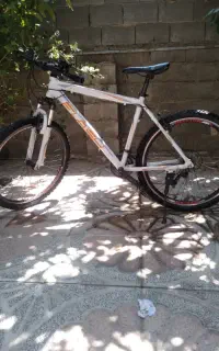 دوچرخه فلش