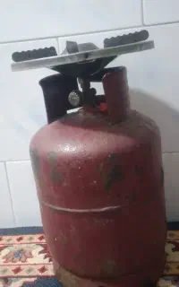 پکنیک در حد نو