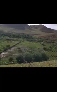 دار‌گالی‌بافی‌‌۲×۳‌