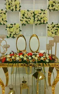 ظروف کرایه و تشریفات مجالس فارسی