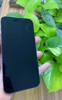 iPhone 14pro max
