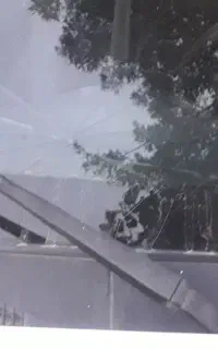 ساینا اس